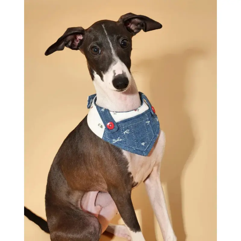 Reversible Denim Overalls Dog Bandana
