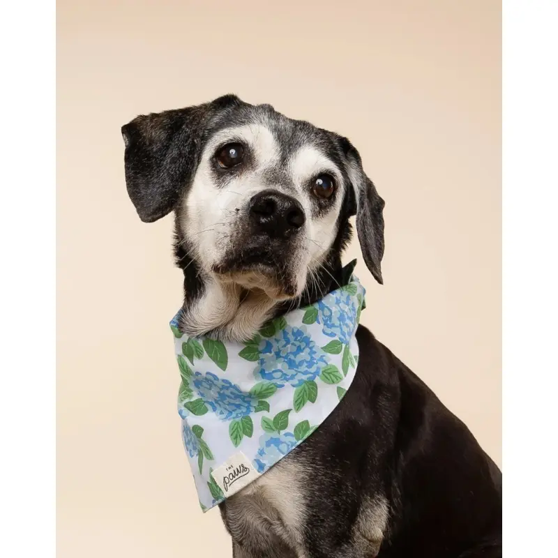 Sconset Floral Dog Bandana