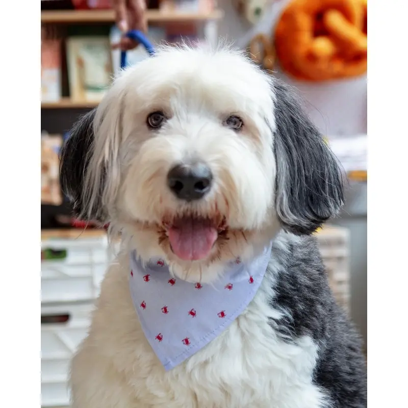 Feeling Crabby Dog Bandana