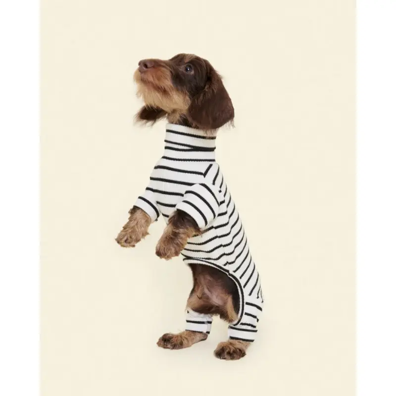 World's Your Oyster Dog Onesie