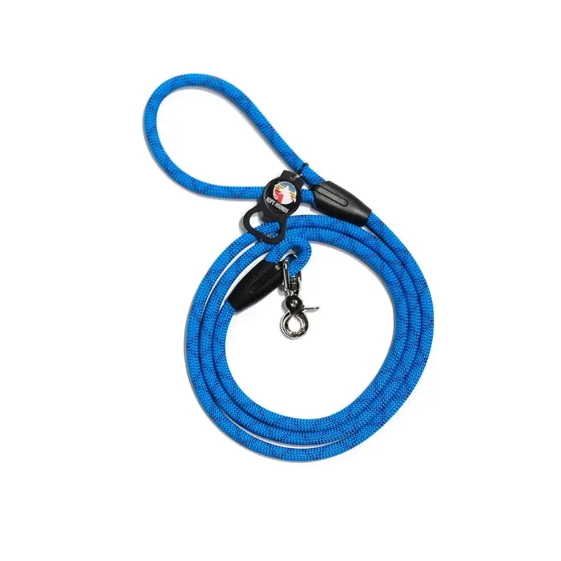 Classic Dog Leash in Clear Blue Sky (Made in the USA)