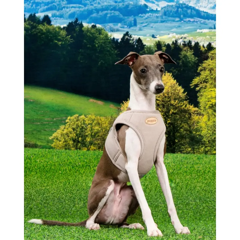 Eco Soft Padded Mesh Harness Vest in Beige
