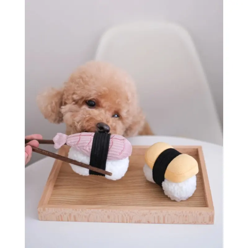 Sushi Enrichment Dog Toy