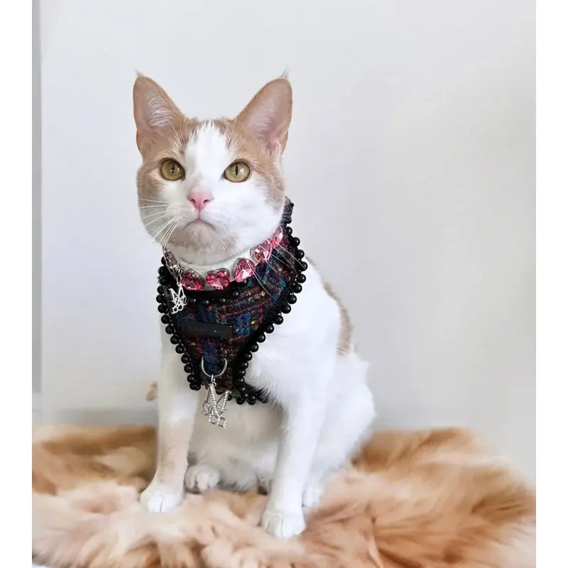 The Brady Tweed Harness