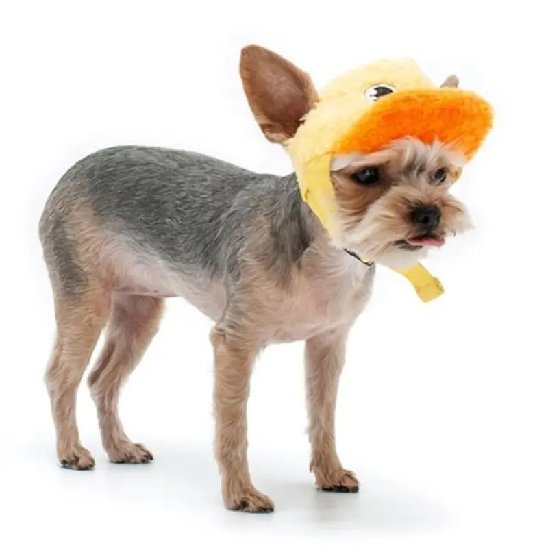 Duck Baseball Hat Yellow