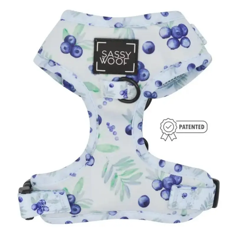 Berry Sassy Adjustable Dog Harness