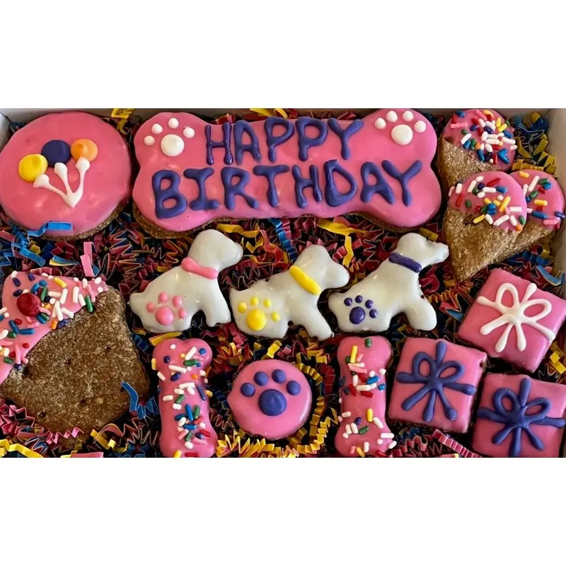 Happy Birthday Dog Treat Gift Box in Pink