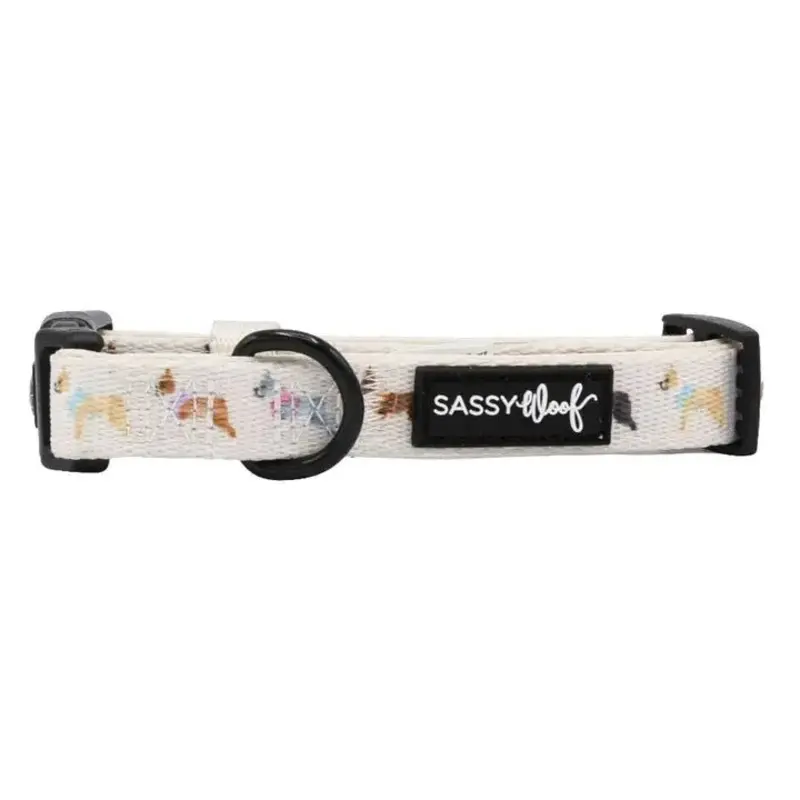 Bold Boston Terriers Collar