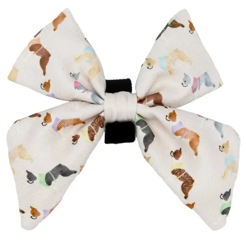 Bold Boston Terriers Collar Slider