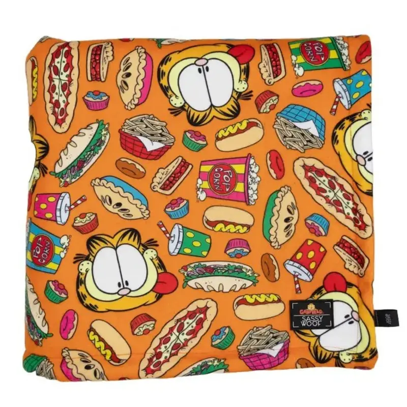 Dog Blanket - Garfield