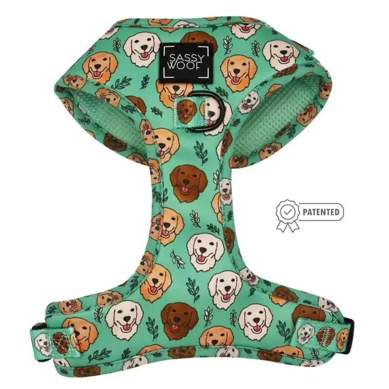 Glam Goldens Adjustable Harness
