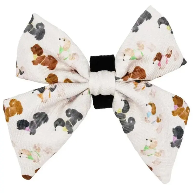Spunky Shih Tzus Collar Slider