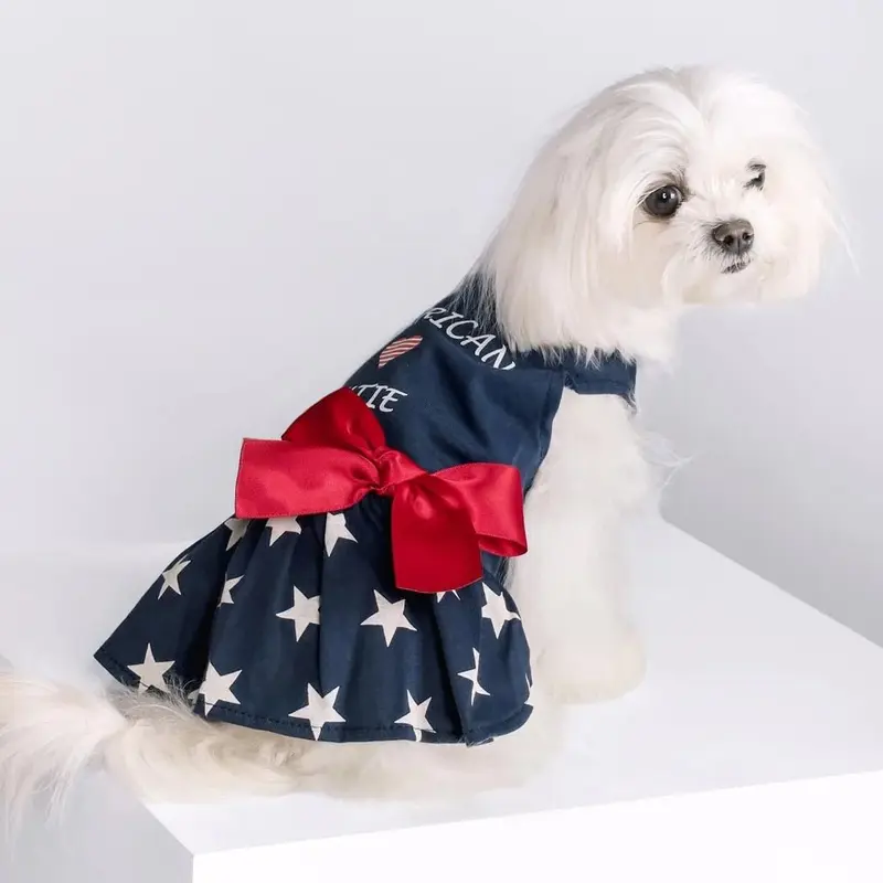 American Cutie Dress