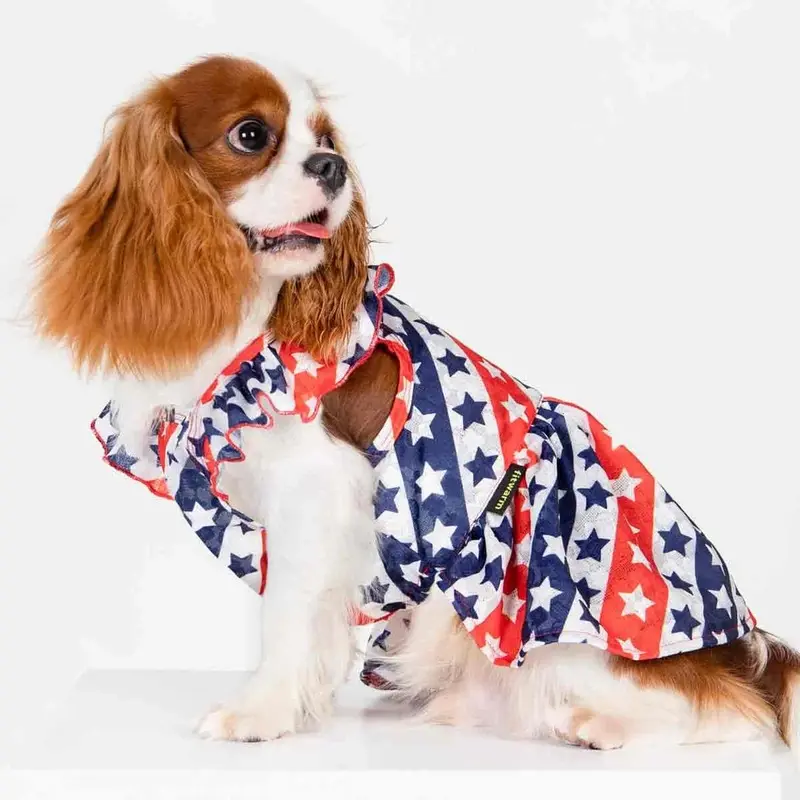 Patriotic Stars & Stripes Dress