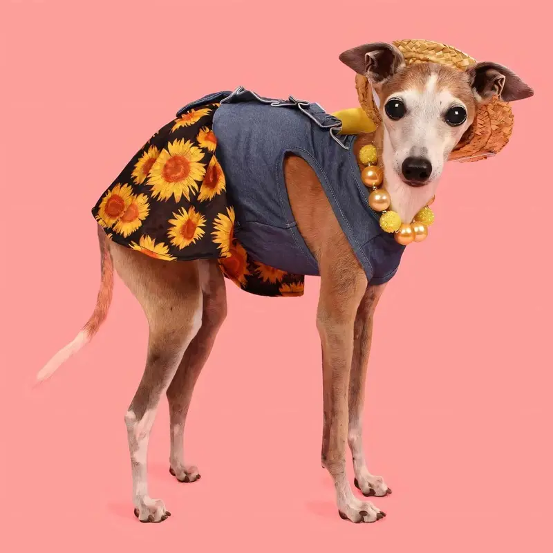 Sunflower Denim Dress