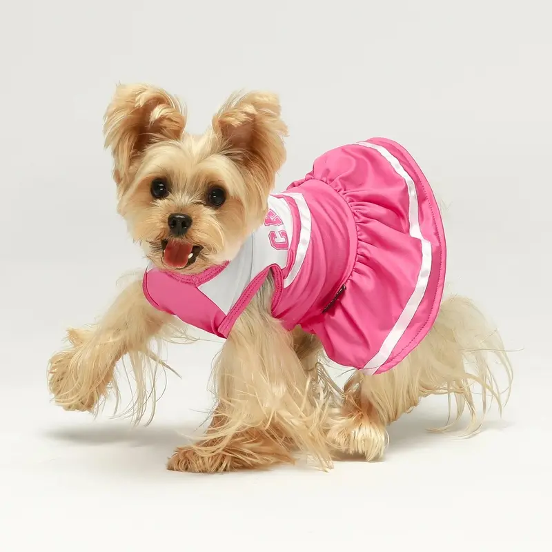 Cheerleader Costume in Pink