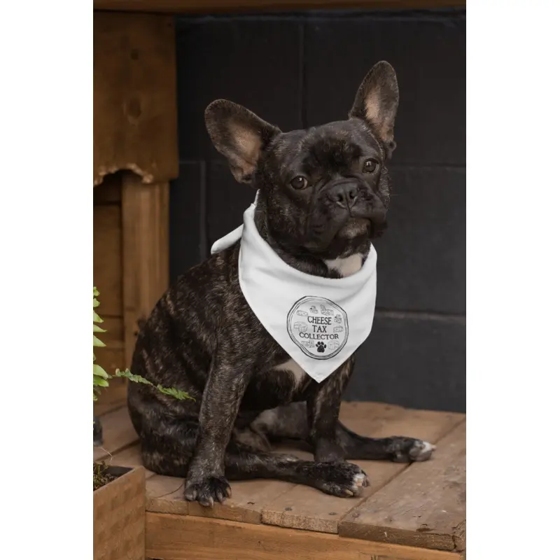 Cheese Tax Collector Bandana