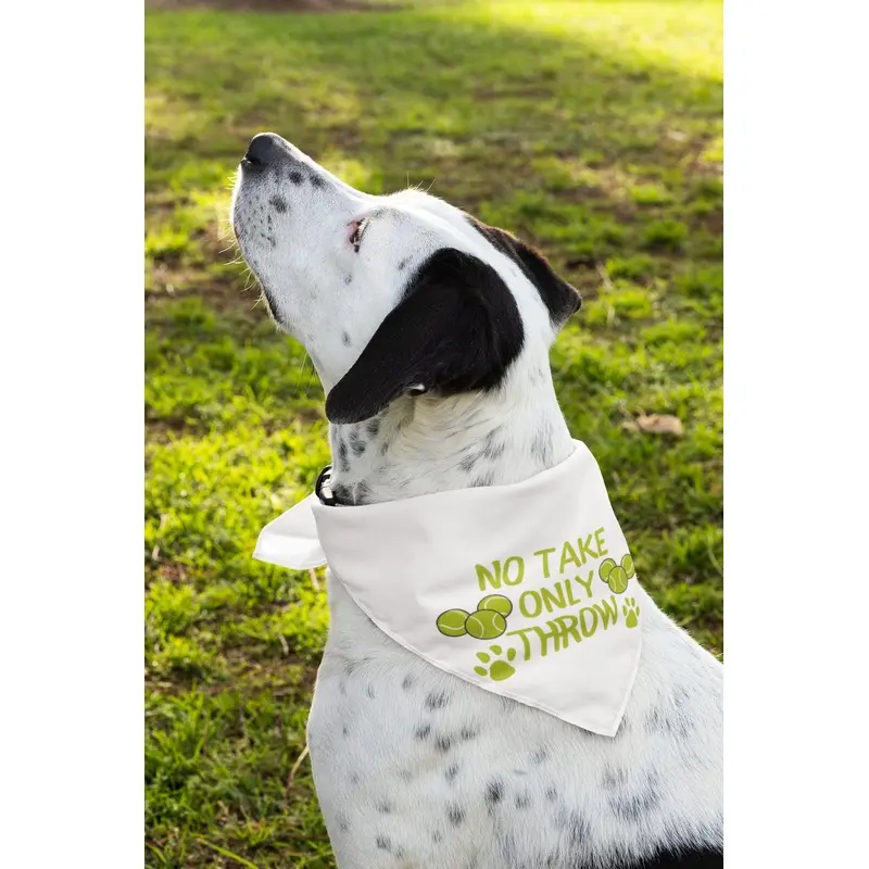 No Take Only Throw Bandana