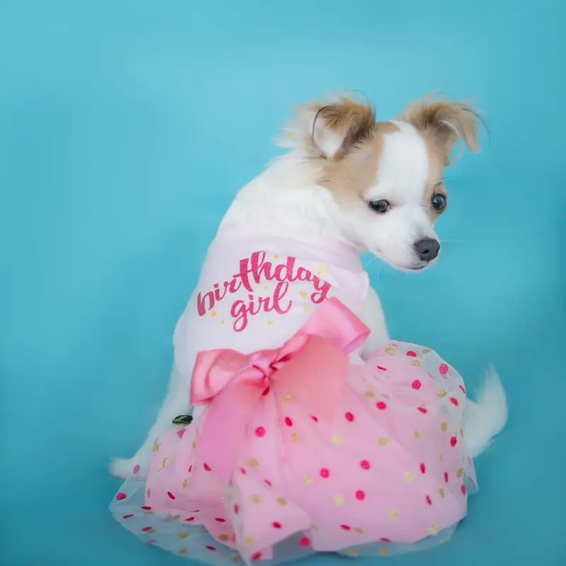 Polka Dot Birthday Girl Tulle Dress
