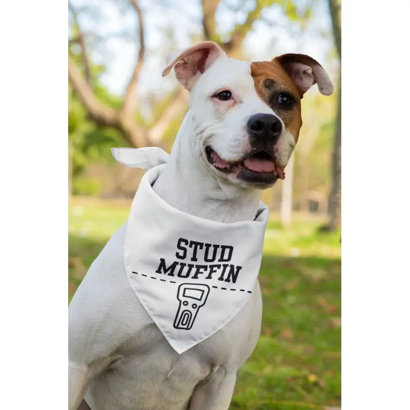 Stud Muffin Bandana