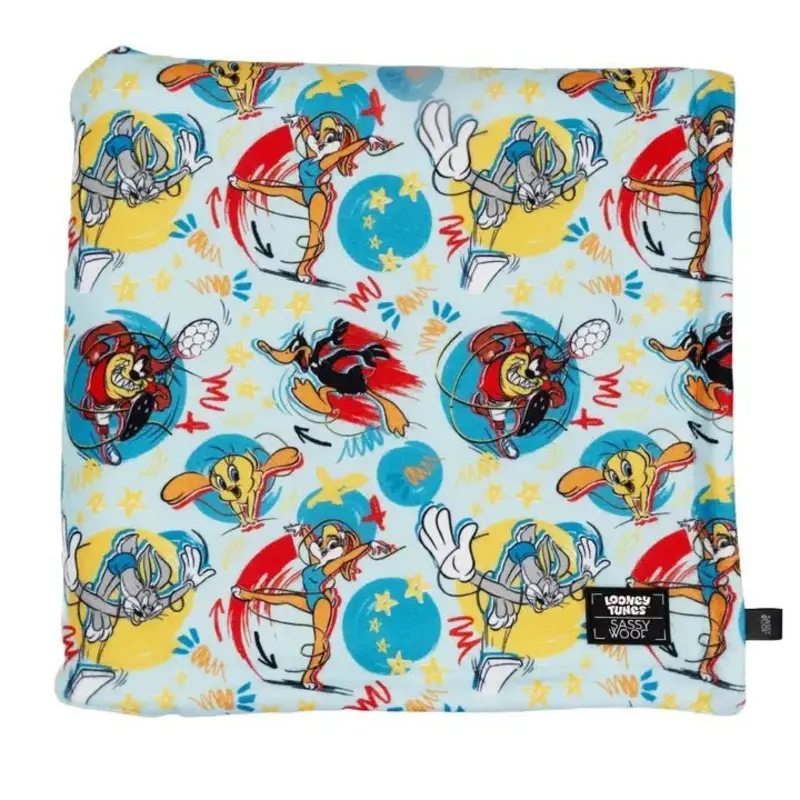 Dog Blanket - Looney Tunes Blue