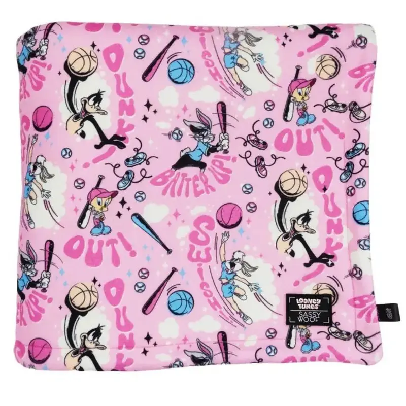 Dog Blanket - Looney Tunes Pink