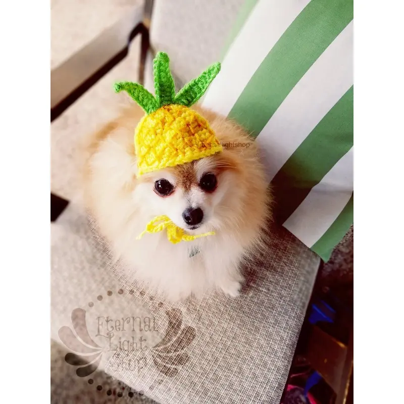 Crochet Pineapple Beanie Hat