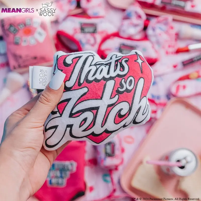 Mean Girls Toy Set