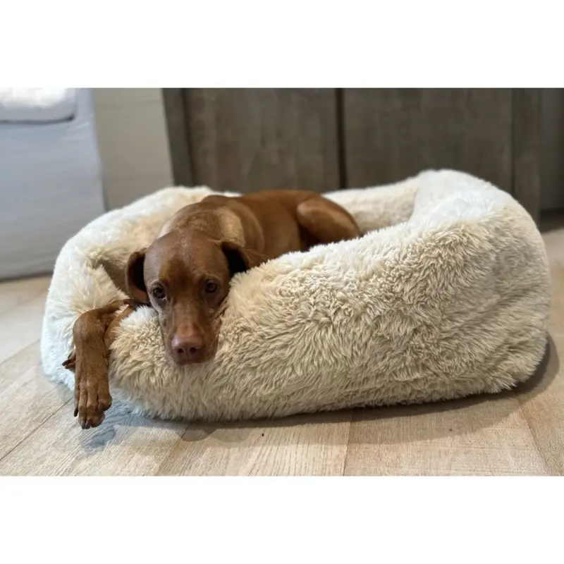 The Franklin Fluffernutter Bed