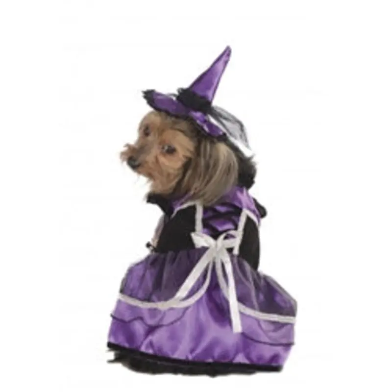 Purple Witch Costume