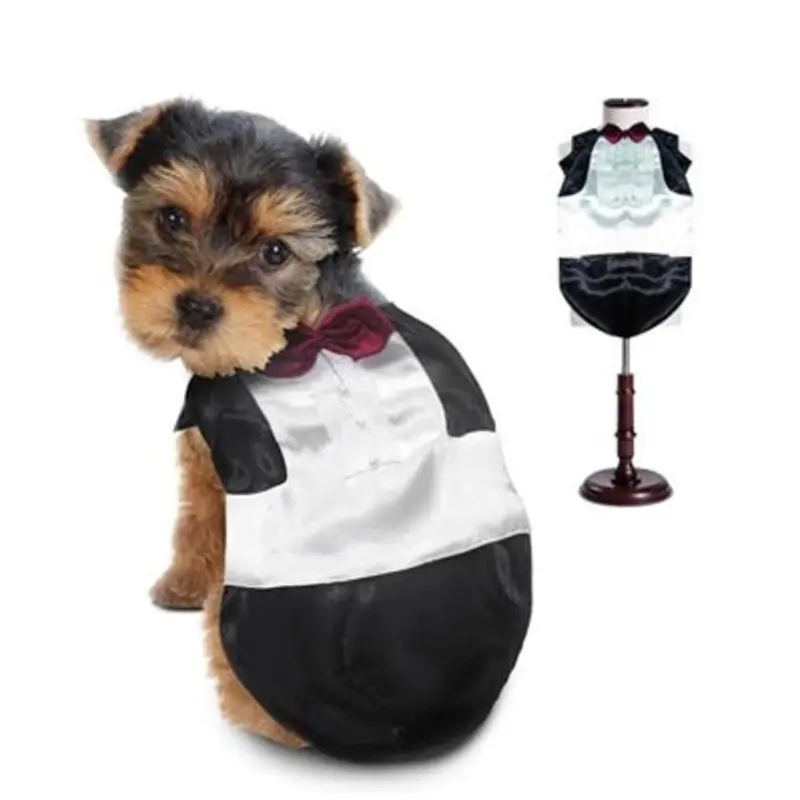 Tuxedo Dog Costume
