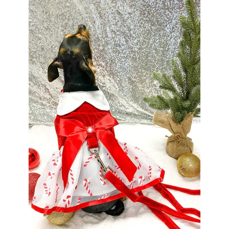 Holiday Dog Harness Dress - Candy Canes