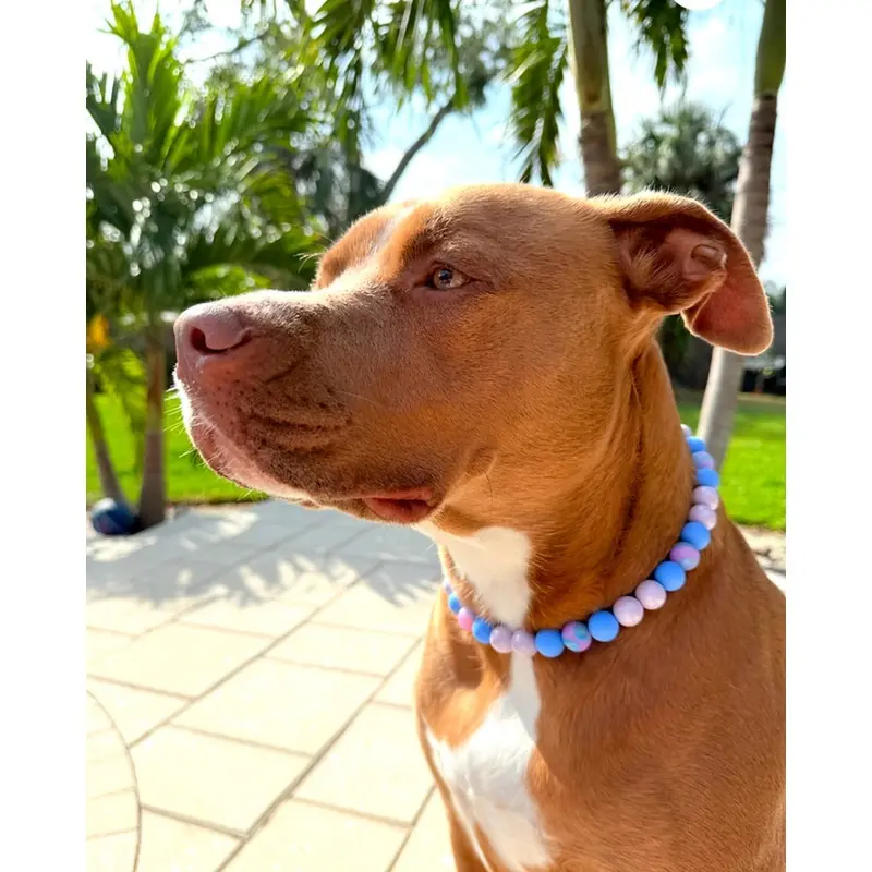 Cosmic Beaded Collar