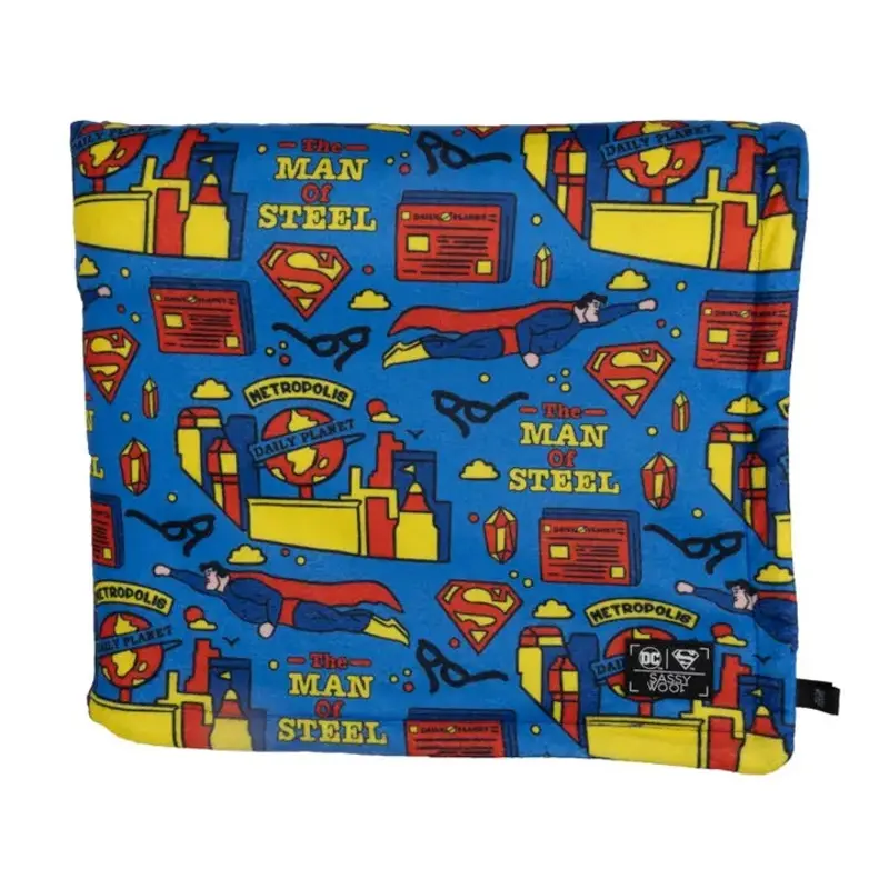 Dog Blanket - Superman