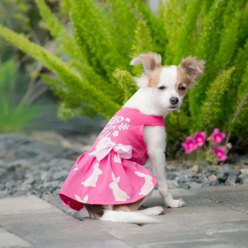 Eggstra Cute Dog Dress