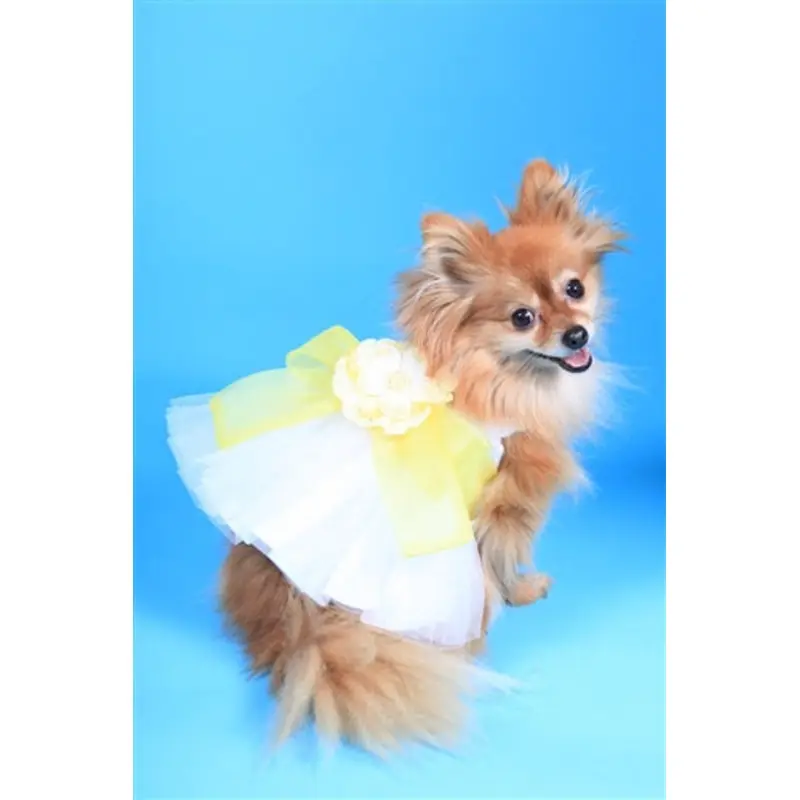 The Madeleine Harness Dog Dress with Yellow Sash