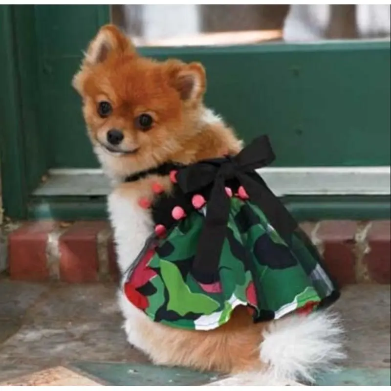 The Sasha Dress