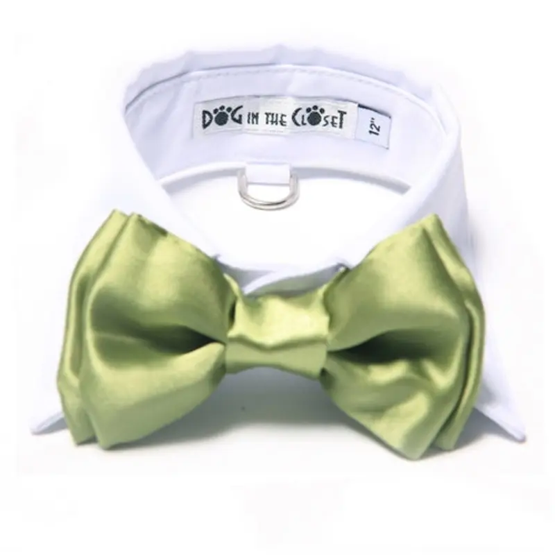White Shirt Dog Collar with Apple Green Bow Tie