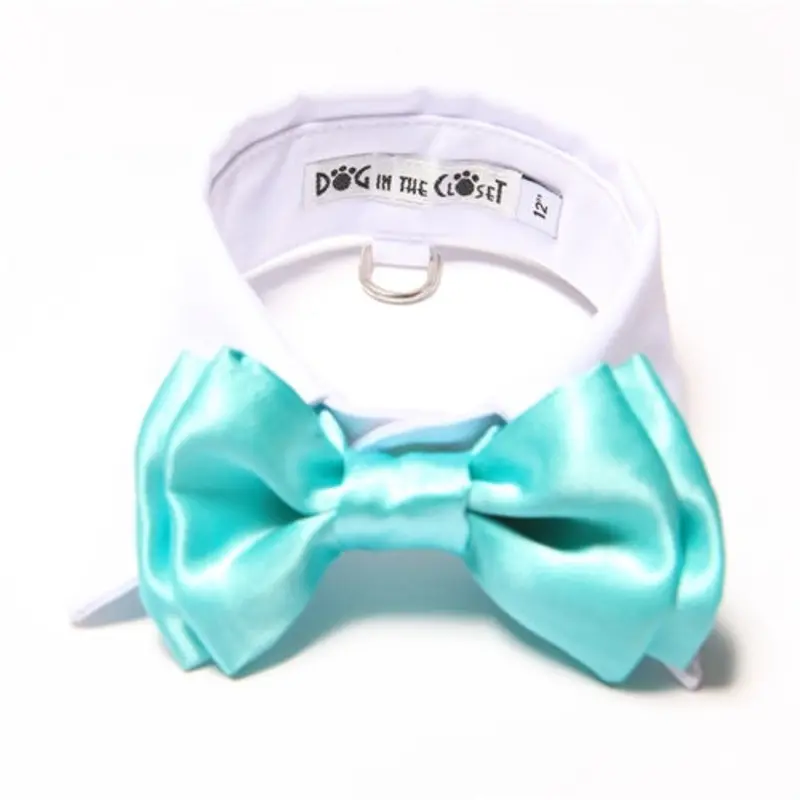 White Shirt Dog Collar with Blue Bow Tie