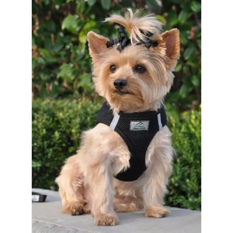 American River Ultra Choke Free Dog Harness- Black