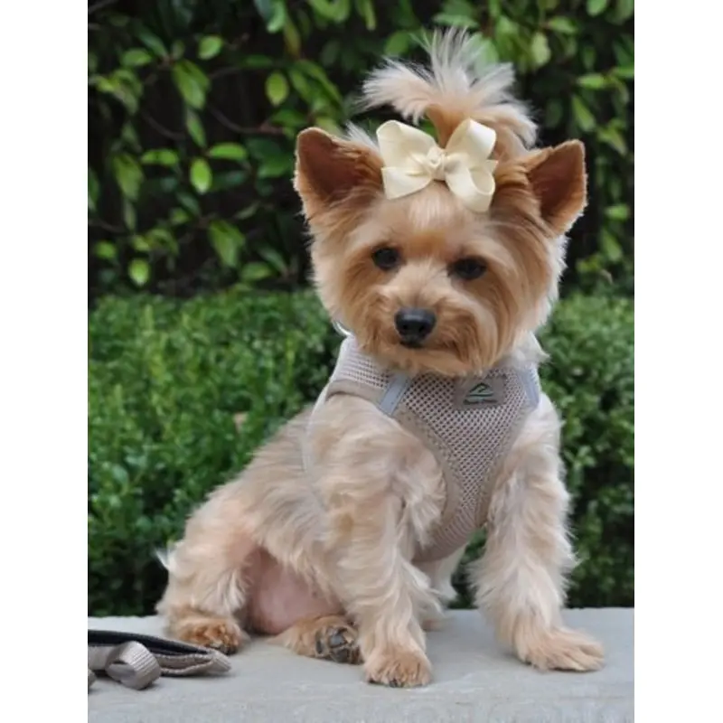 American River Ultra Choke Free Dog Harness- Fossil Brown
