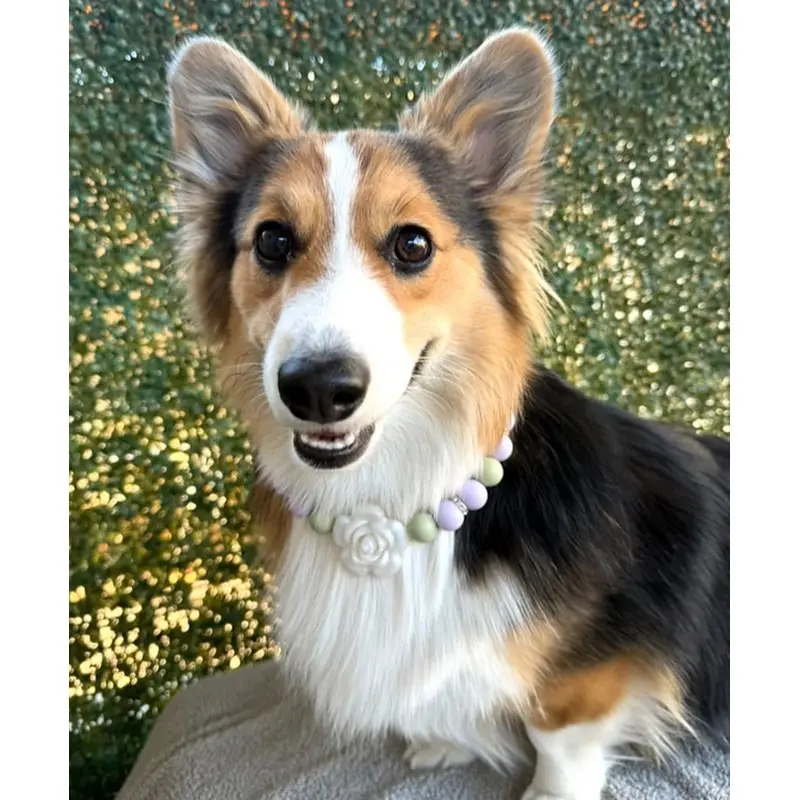 Clover Beaded Collar