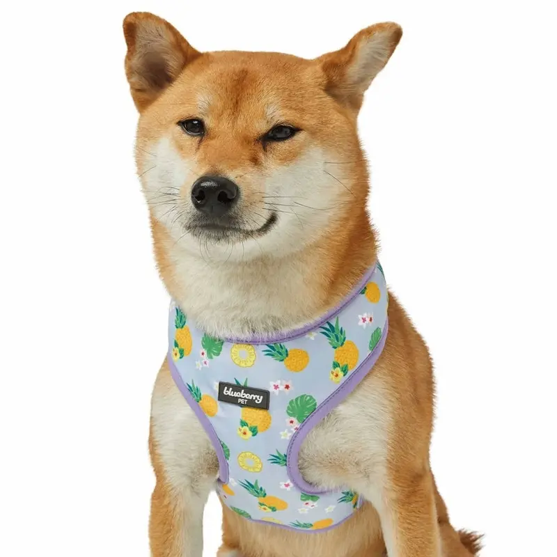 Zesty Purple Pineapple Harness