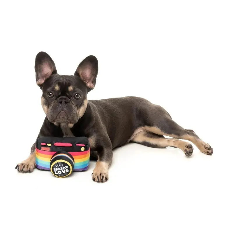 Spread Love Rainnow Camera Plush Toy