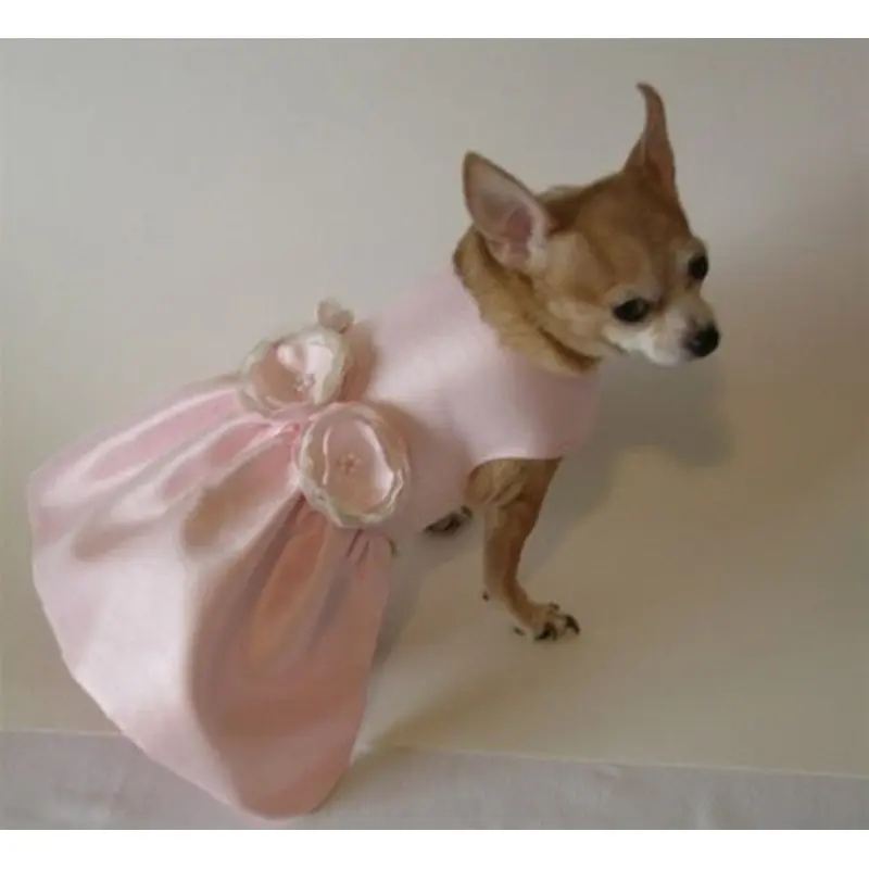 Beautiful in Pastel Pink Dog Dress