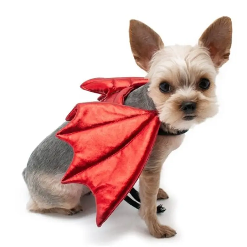 Dragon Wings in Red