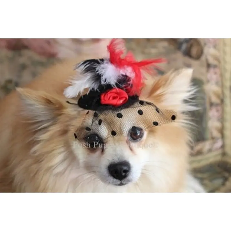 Couture Black Hat with Red/White Feathers and Red Flower