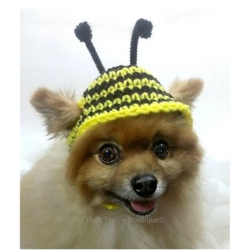 Crochet Bumble Bee Beanie Hat