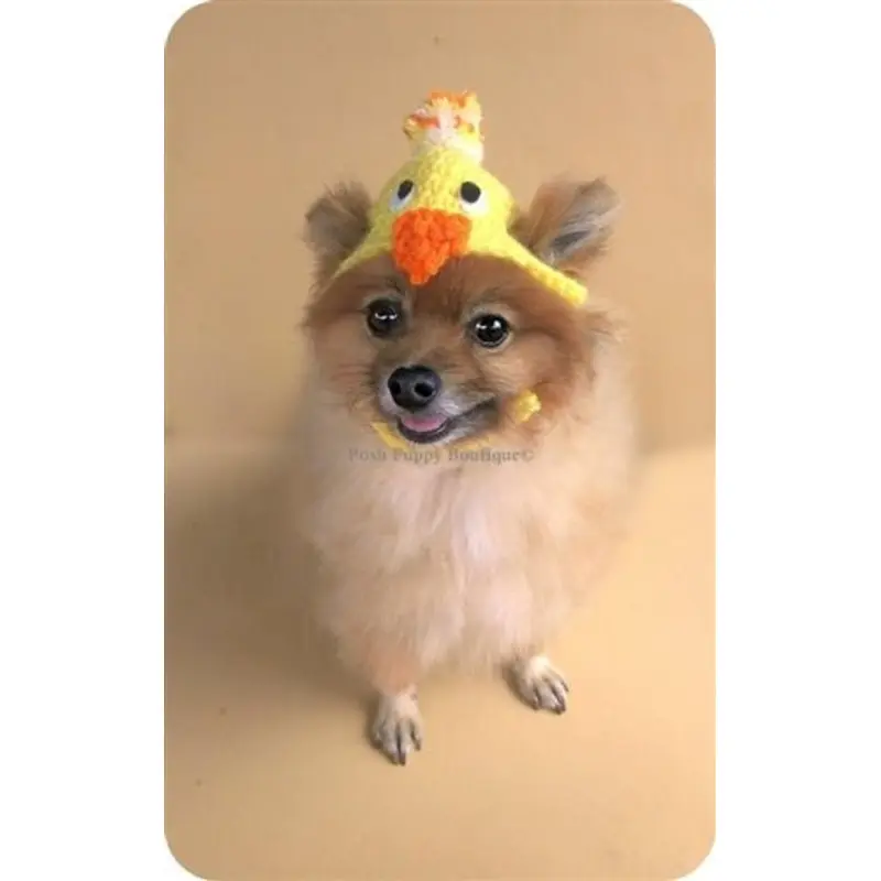 Crochet Chick Easter Beanie Hat
