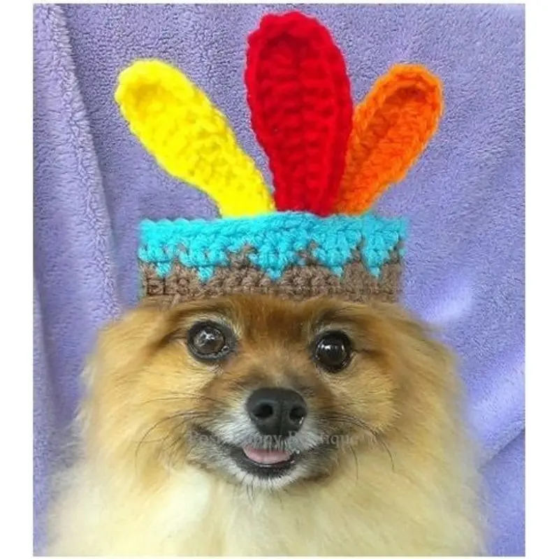 Crochet Indian Beanie Hat
